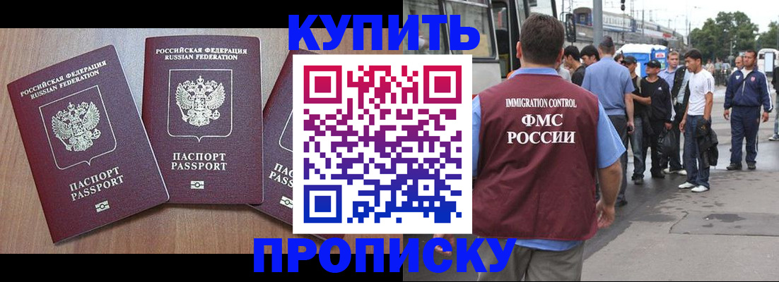 прописка 2025 в Волосово